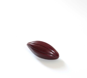 1. Cabosse Gingembre_resultat